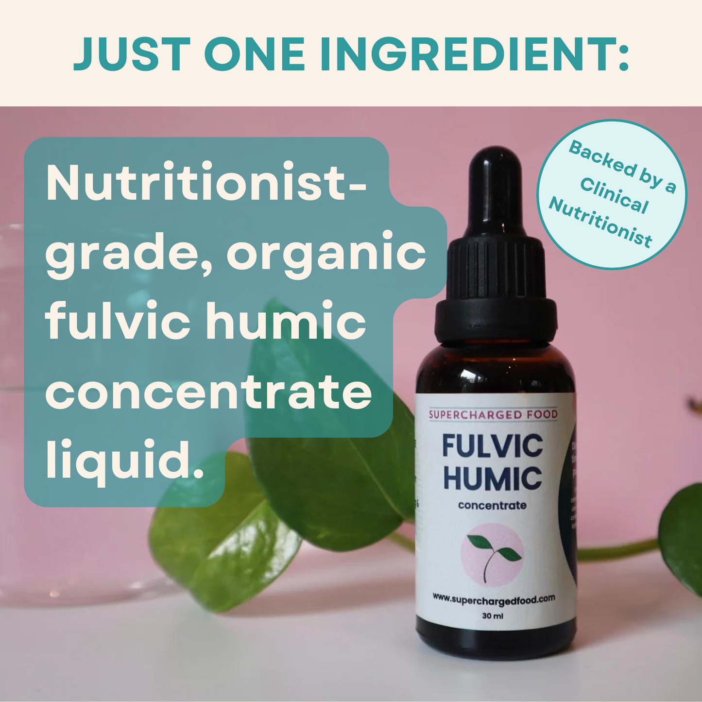 Love Your Gut Fulvic Humic Concentrate 30ml